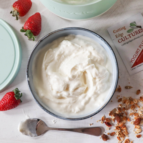 How to make probiotic yogurt at home - Luvele AU