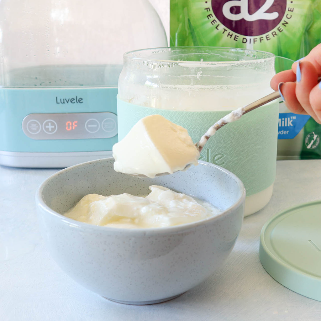 Make probiotic yogurt anytime with dry milk powder