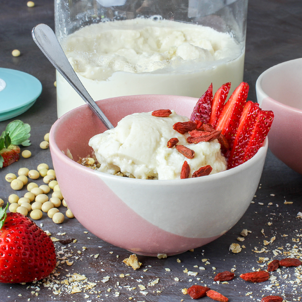 Homemade soy yogurt recipe – made from soybeans