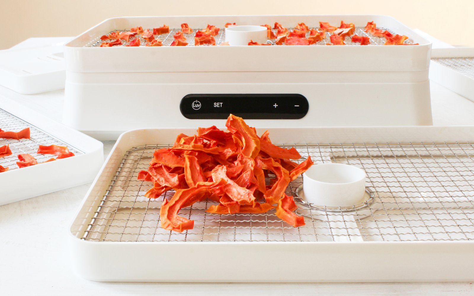 Food Dehydrators